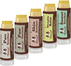 Natural Dog Company Powerhouse Bundle packaging shows all five balms for on-the-go dog skin care