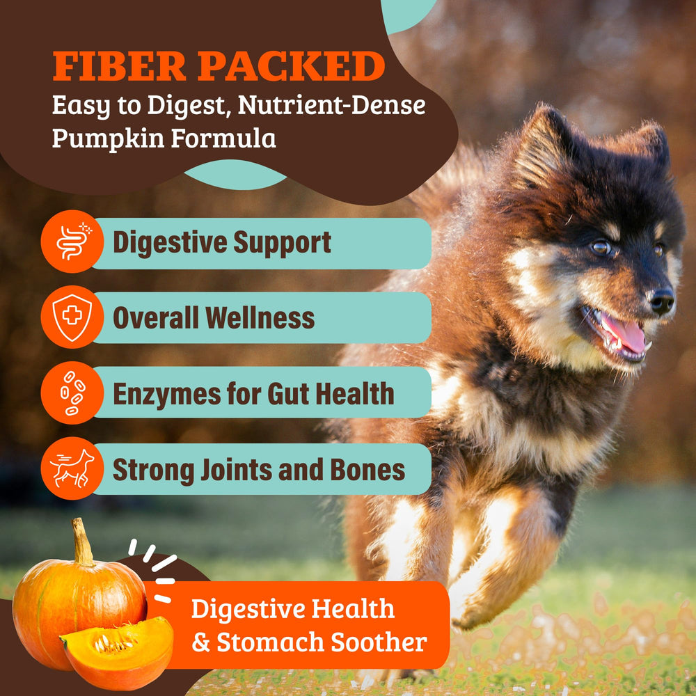 Natural Dog Company Pumpkin Digestive Granules mixed into dry food for moisture and texture.