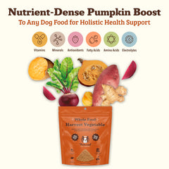 Natural Dog Company Pumpkin Digestive Granules scoop portion ready to top meals.