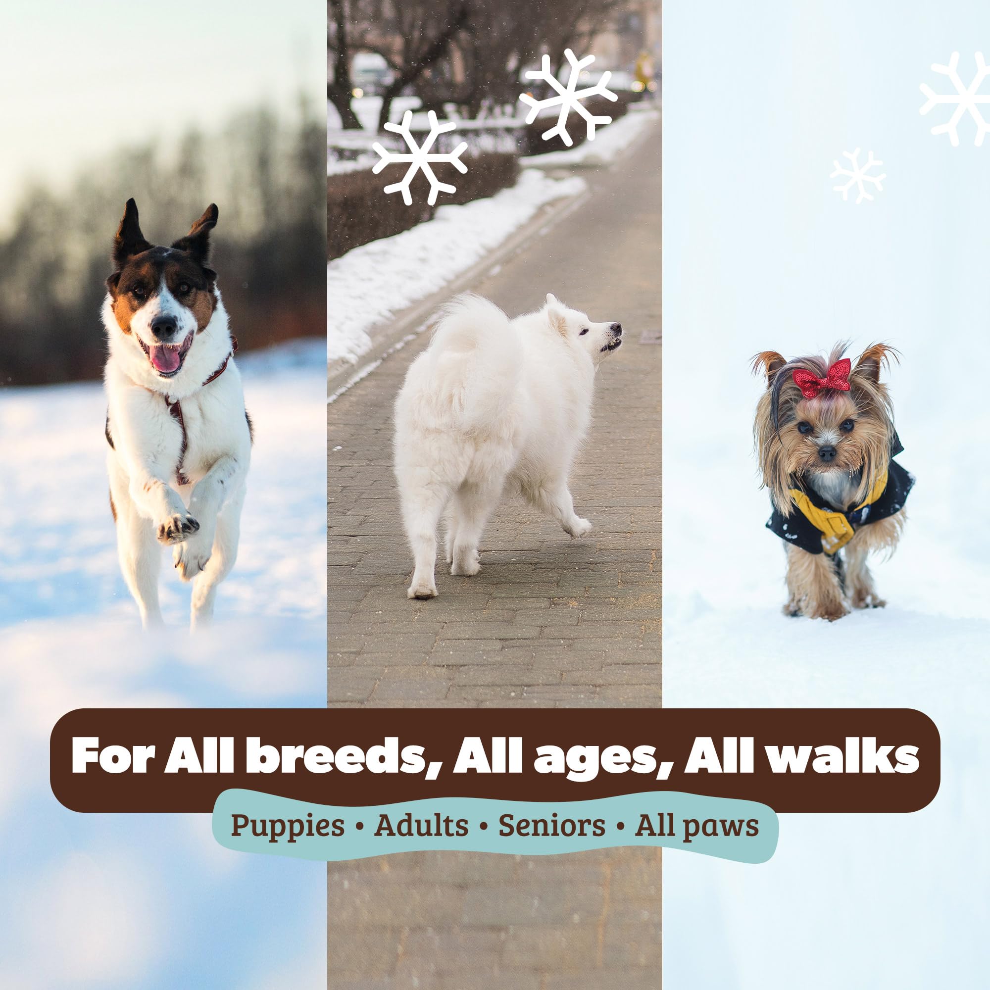 Natural Dog Company rough terrain paw care for rugged trails and hot pavements