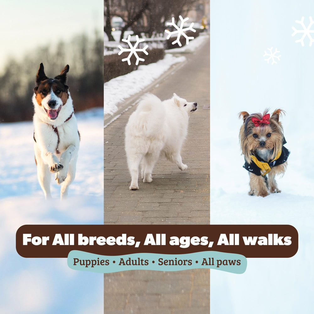 Natural Dog Company rough terrain paw care for rugged trails and hot pavements