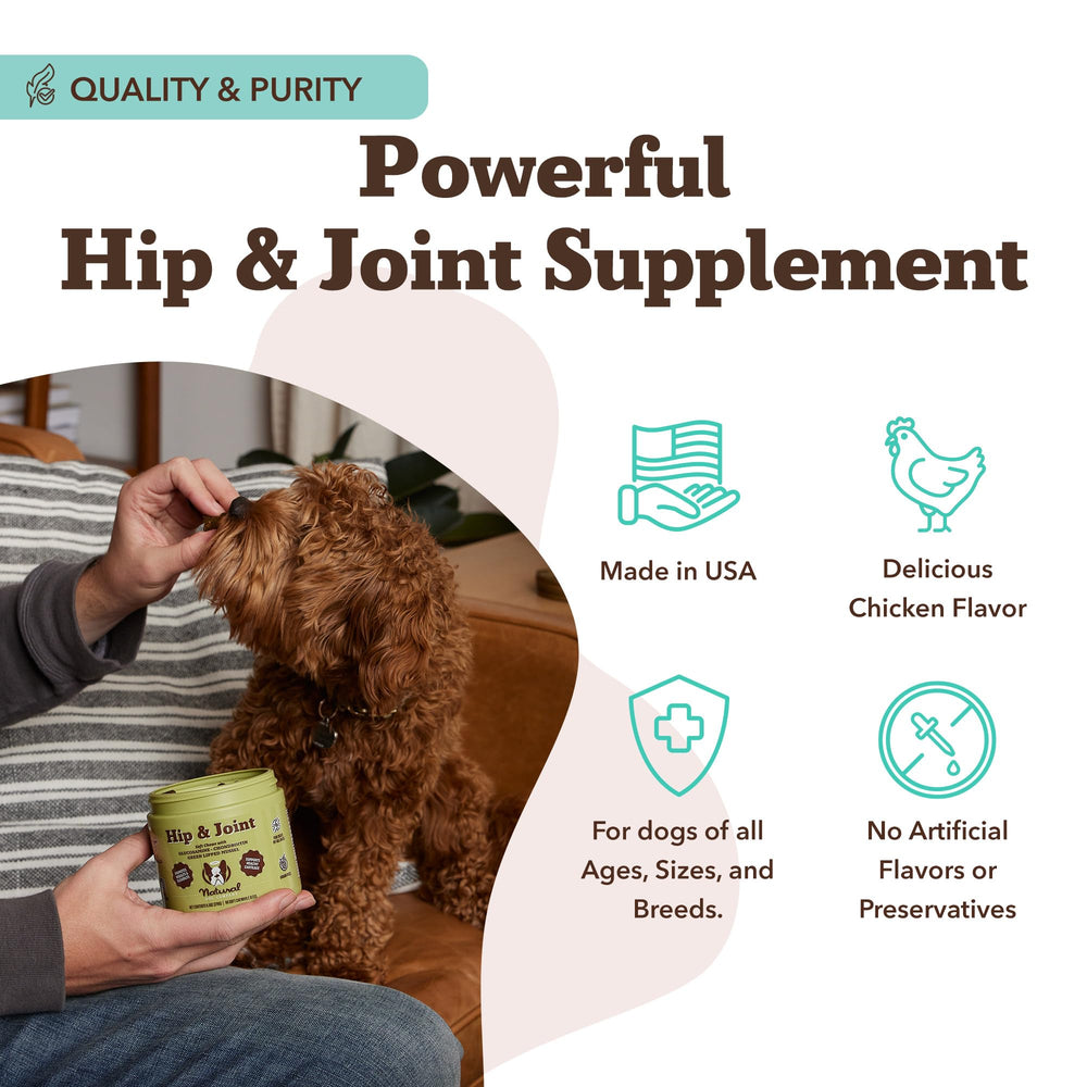 Natural Dog Company senior-dog comfort image hints at easier movement.
