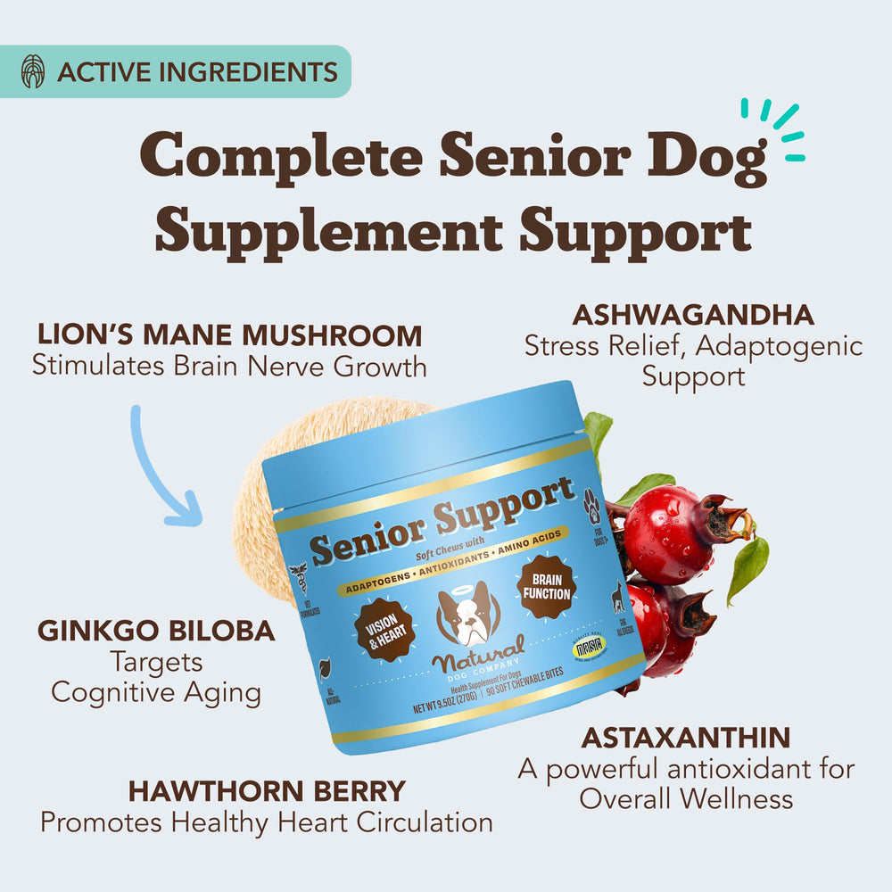 Natural Dog Company senior eye vitamin chew bottle supports visual clarity during daily adventures.