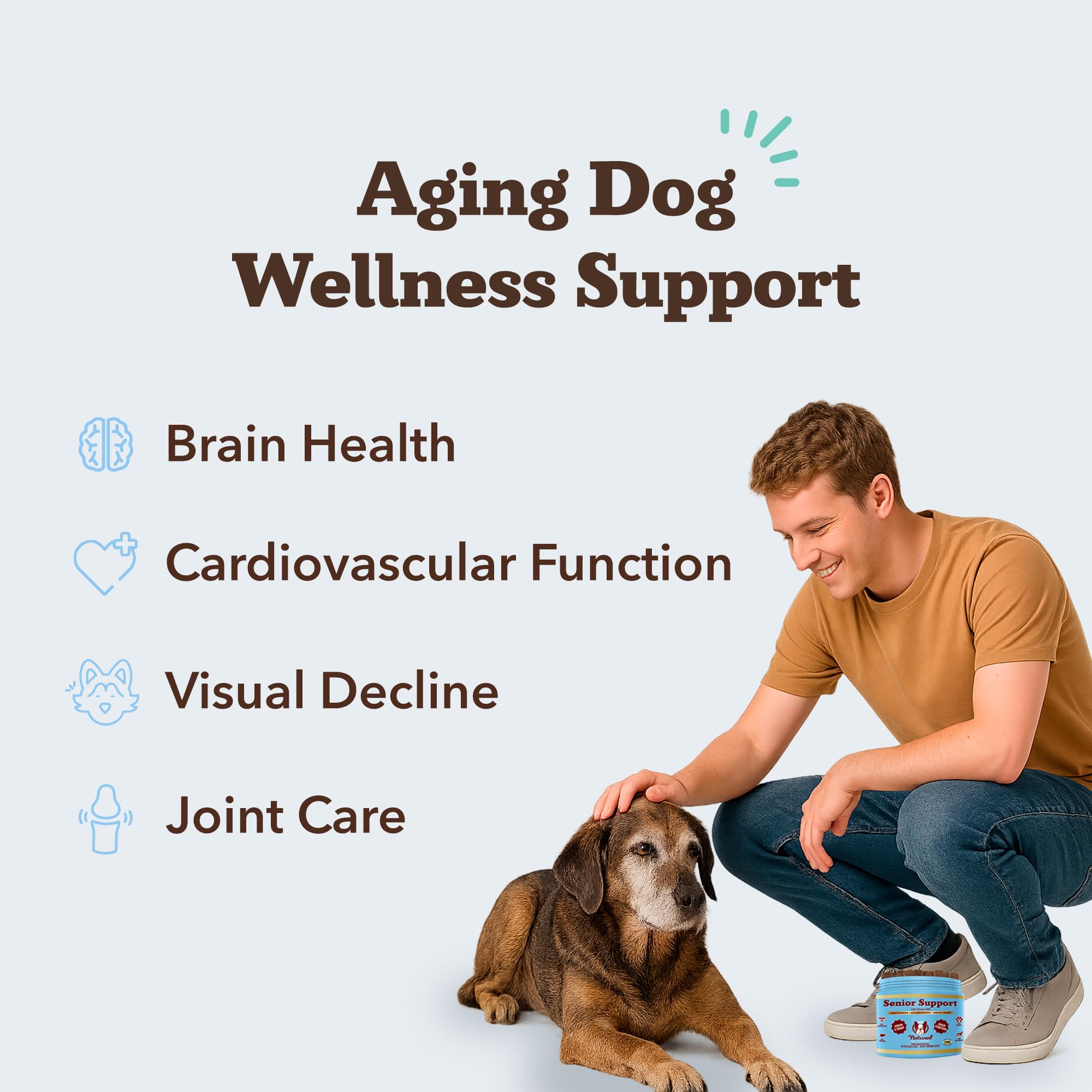 Natural Dog Company senior heart vitamin chew bottle promotes cardiovascular function and everyday vitality.