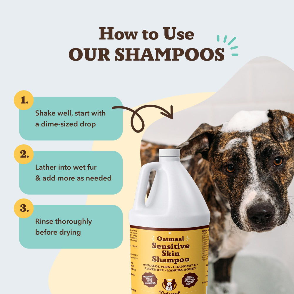 Natural Dog Company made in USA label on shampoo bottle