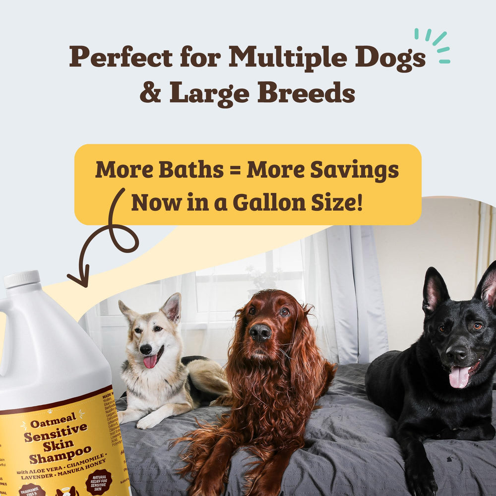 Natural Dog Company shampoo with manuka honey moisturizes and cleans
