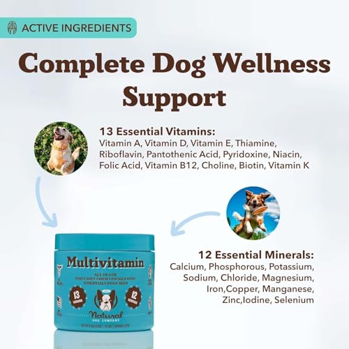Natural Dog Company serving chews in dish demonstrates easy daily routine.