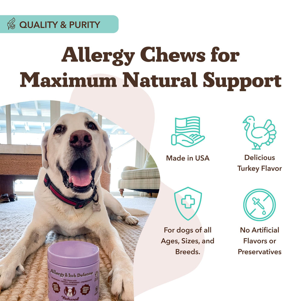 Natural Dog Company skin-coat-health-dog-chews promotes hydrated skin and shiny coat