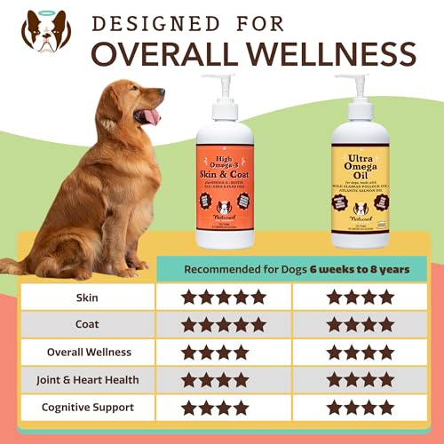 Natural Dog Company Skin Coat Oil application paw