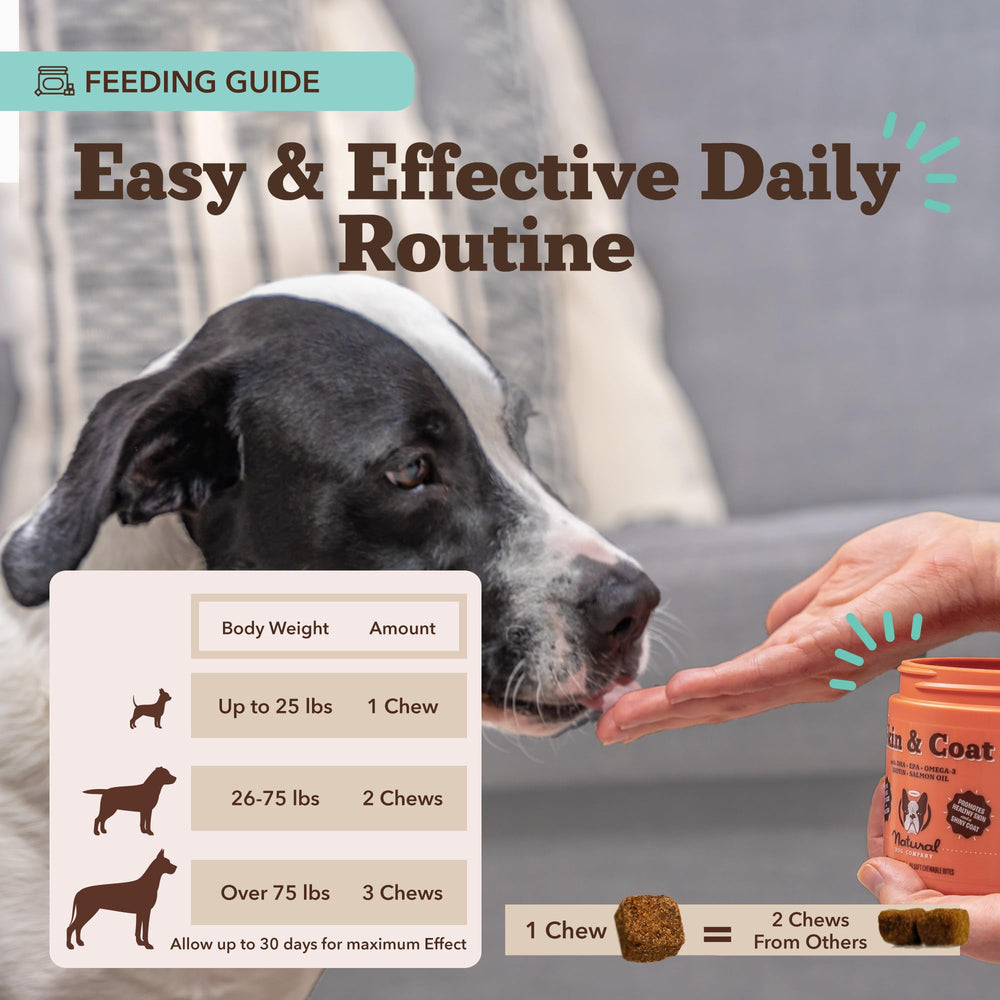 Dog with a shiny coat after using the supplement