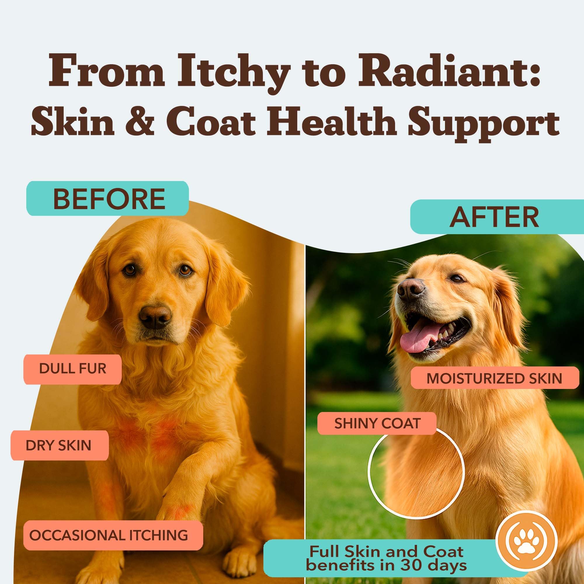 Natural Dog Company supplement label highlighting ingredients for healthy skin and shedding support