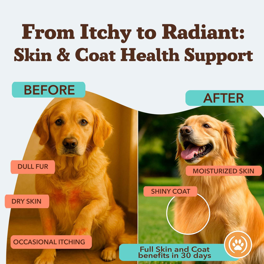 Pouring the Skin & Coat supplement shows easy dosing
