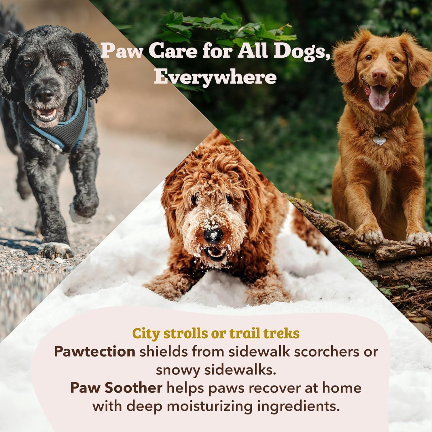 Skin Soother Balm application by Natural Dog Company for irritated patches