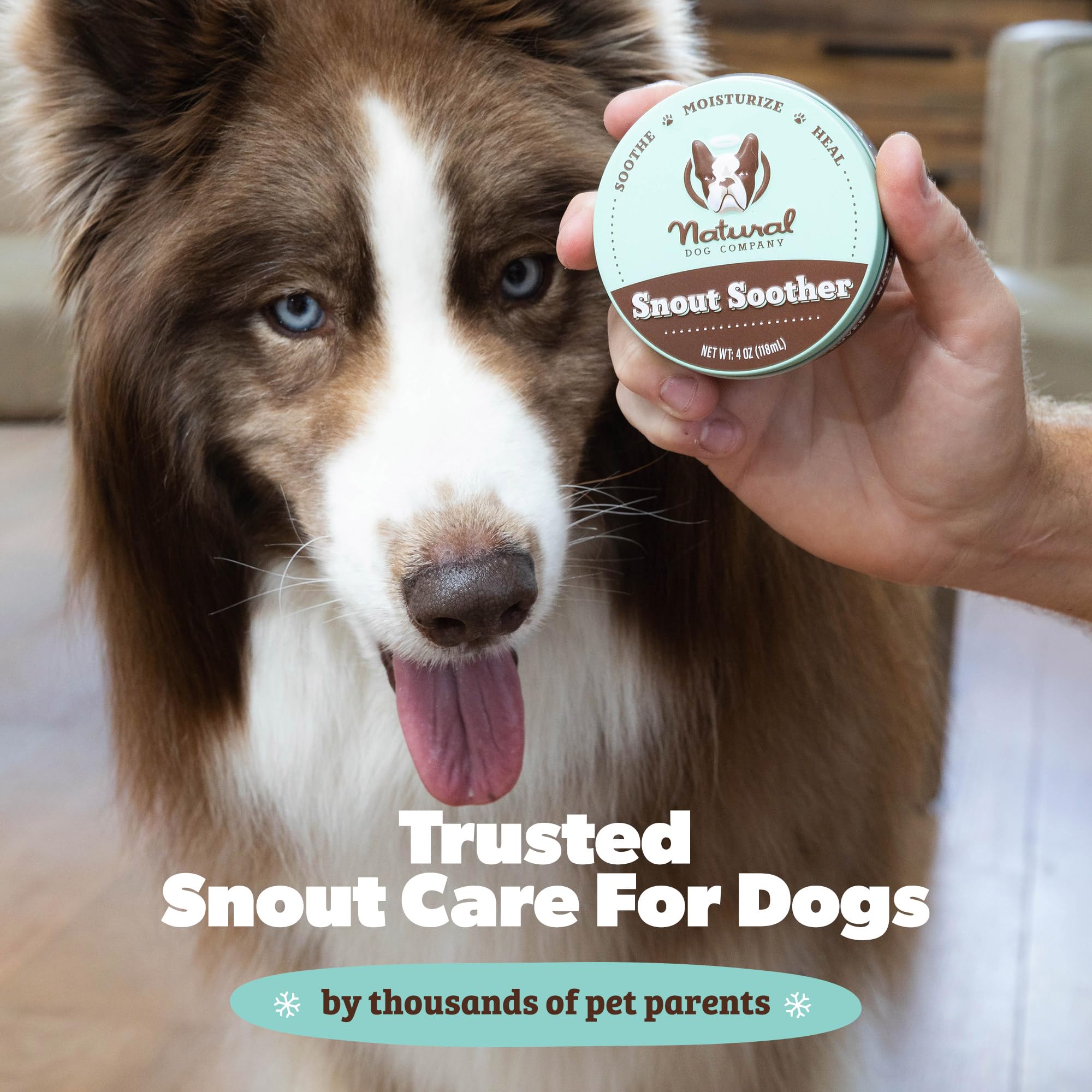 Natural Dog Company Snout Soother Travel Stick being applied on nose highlights hydrating care.