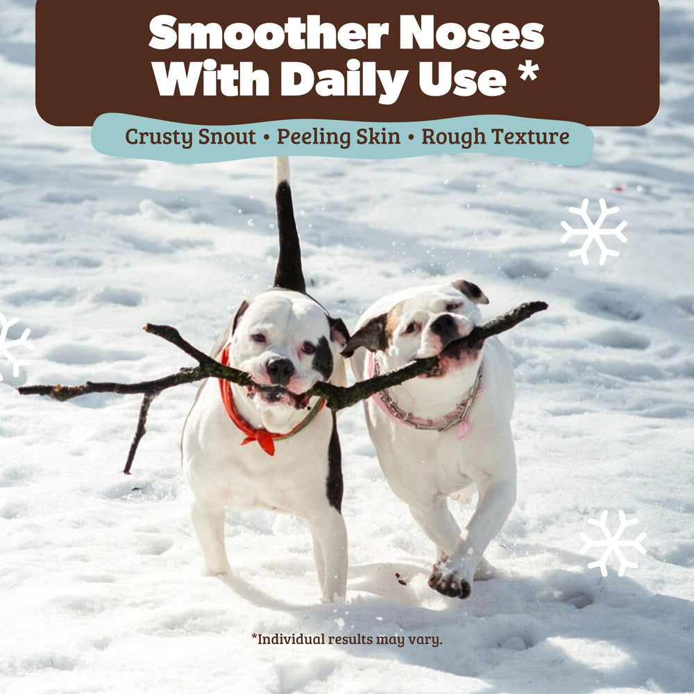 Natural Dog Company Snout Soother application demonstrates easy, even coverage for the nose.