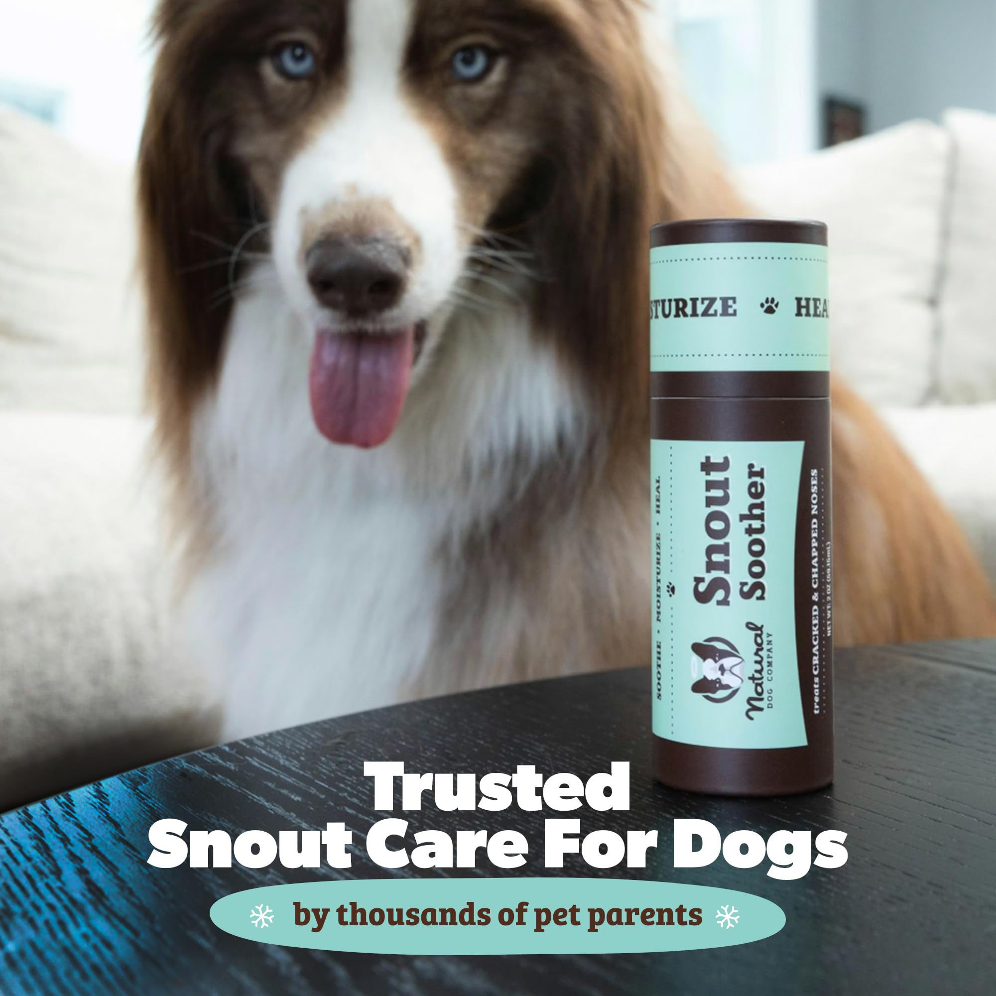 Natural Dog Company Snout Soother ingredients close-up emphasizes plant-based moisture.