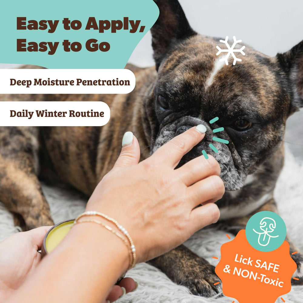 Natural Dog Company Snout Soother texture reveals a light, non-greasy glide.
