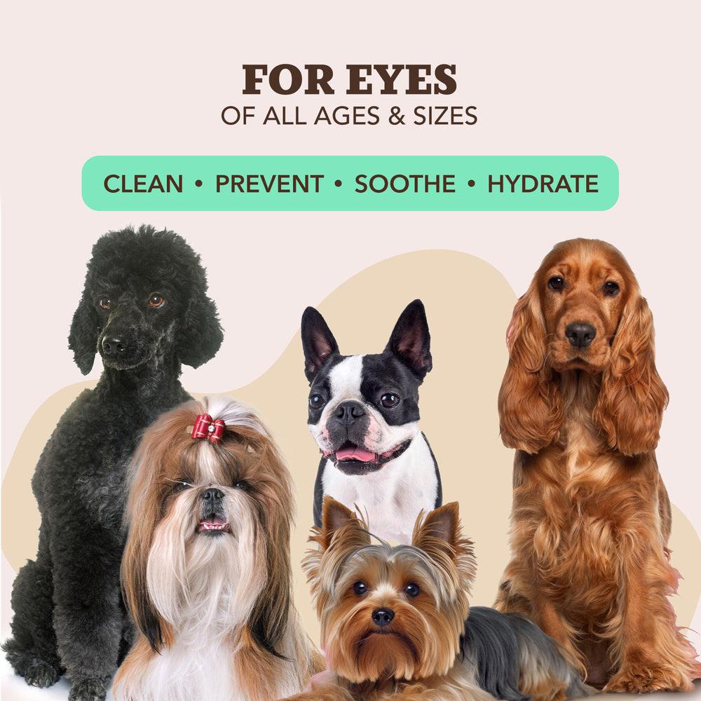 Natural Dog Company snout wipes wipe use-case scene shows mess-free cleaning after meals.