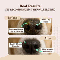 Natural Dog Company snout wipes ingredients panel showcases kukui oil for nourishing moisture.