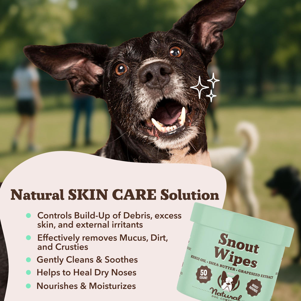 Natural Dog Company snout wipes label closeup shows non-toxic ingredients for safe at-home snout care.