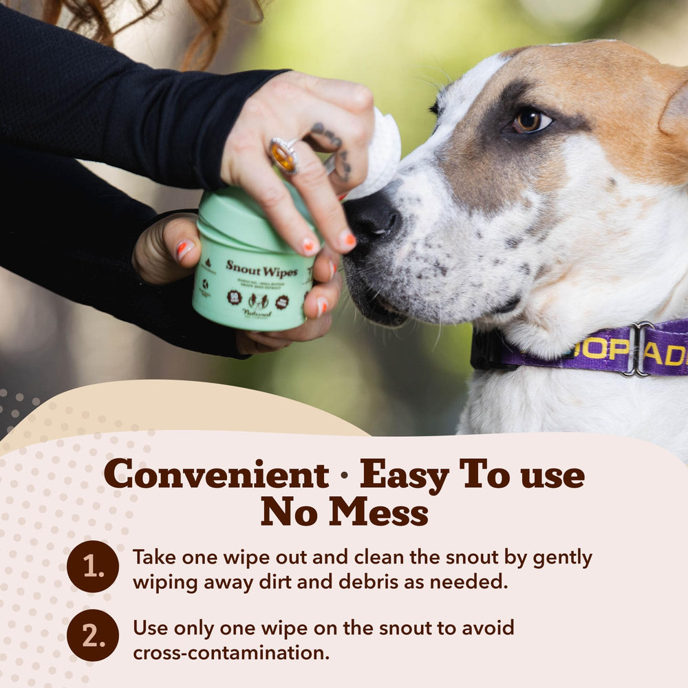Natural Dog Company snout wipes texture closeup highlights ready-to-use, soft wipes.