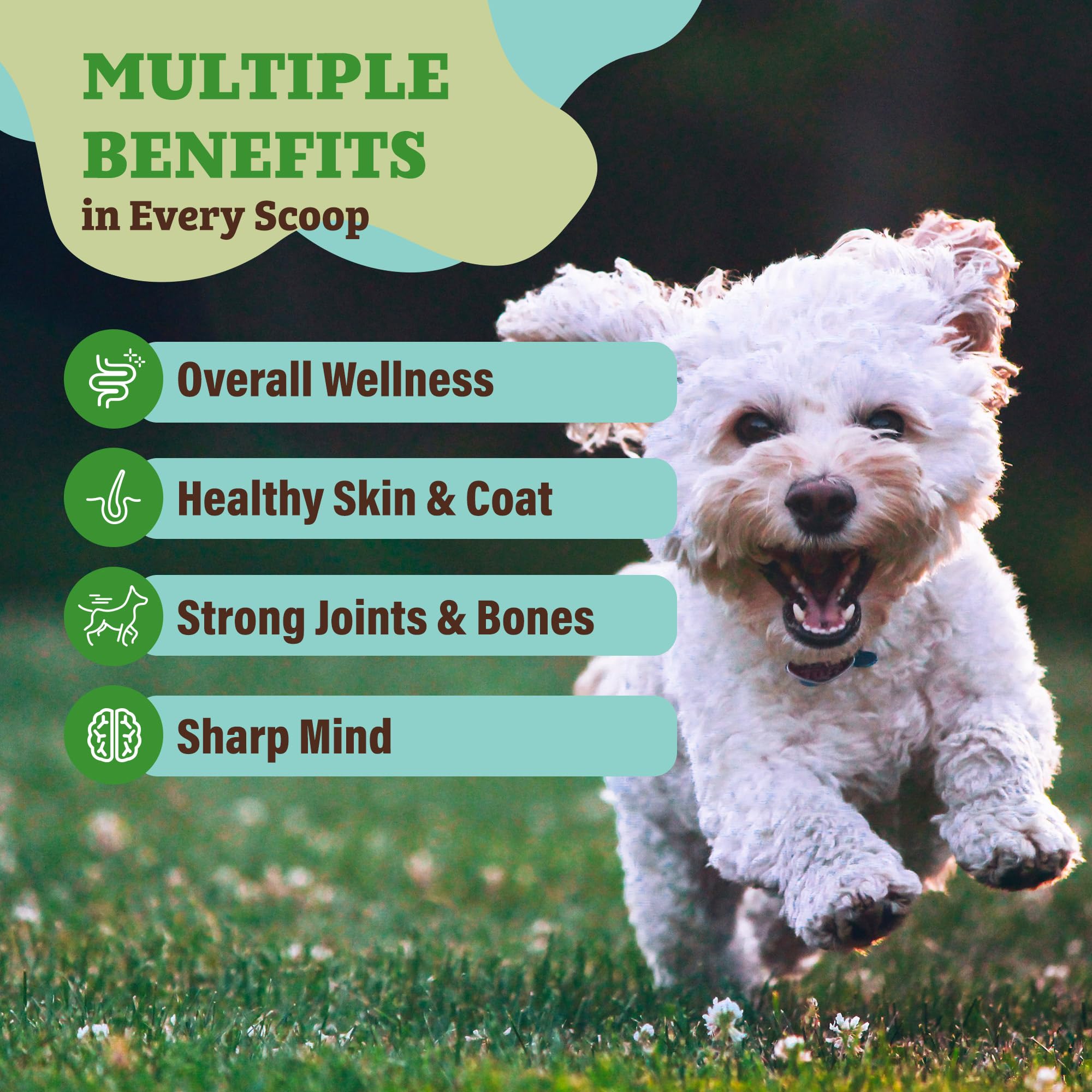 Natural Dog Company Super Greens dish mixed into food shows convenient nutrient boost.