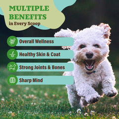 Natural Dog Company Super Greens dish mixed into food shows convenient nutrient boost.