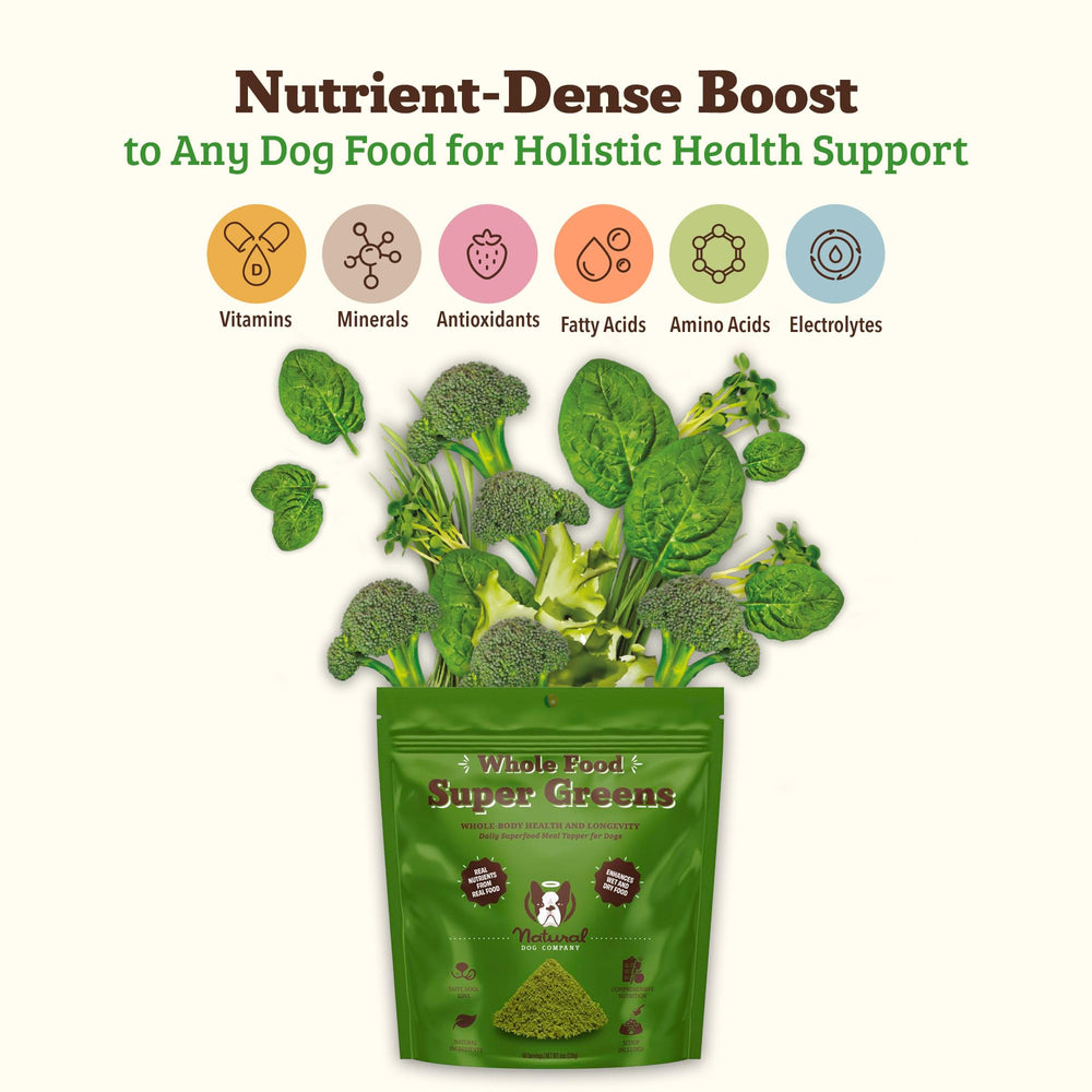 Natural Dog Company Super Greens scoop dispensing image demonstrates easy dosing for meals.
