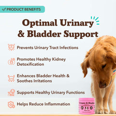 Natural Dog Company urinary bladder soft chews closeup shows cranberry and D-mannose actives.