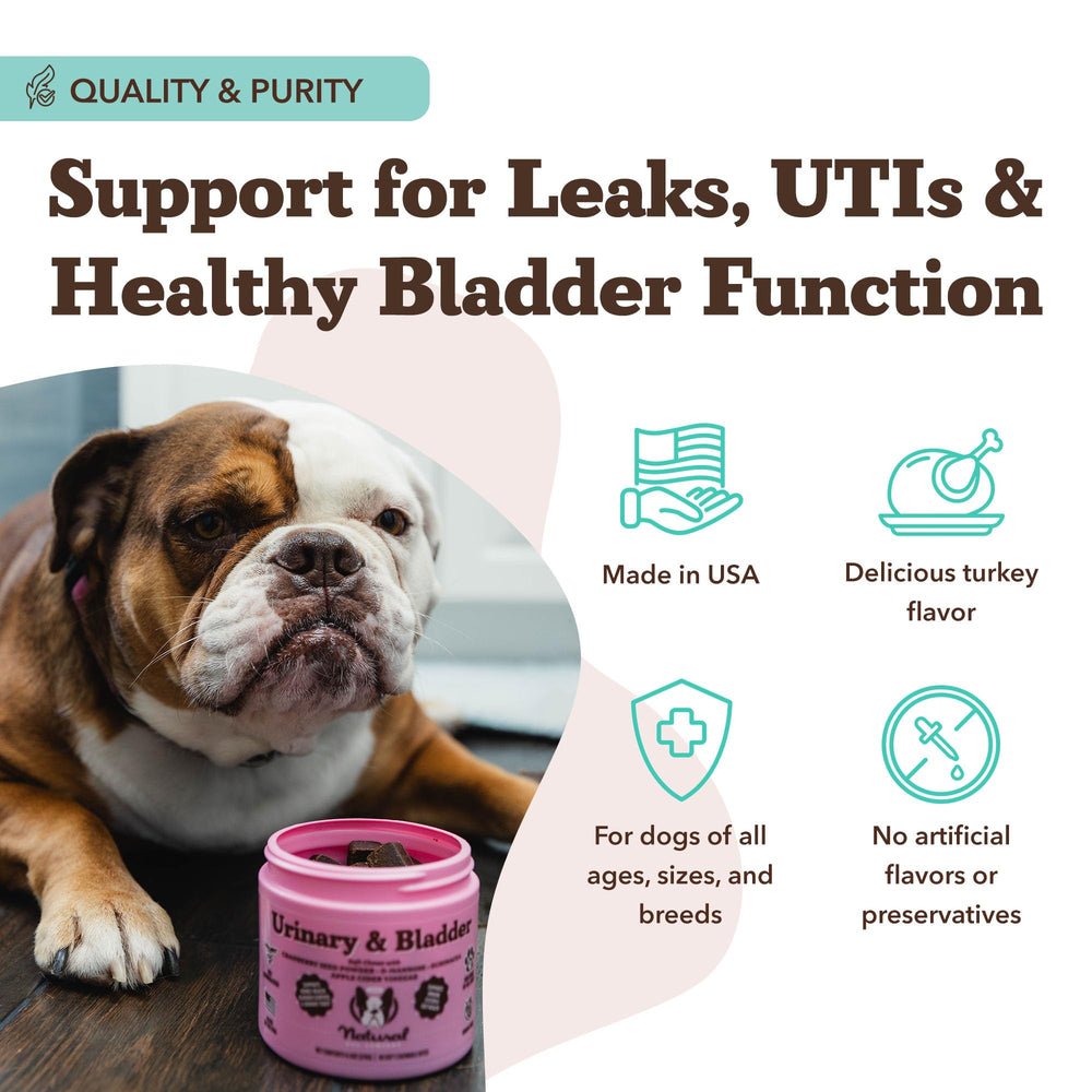 Natural Dog Company urinary bladder soft chews label panel communicates natural ingredients and trust.