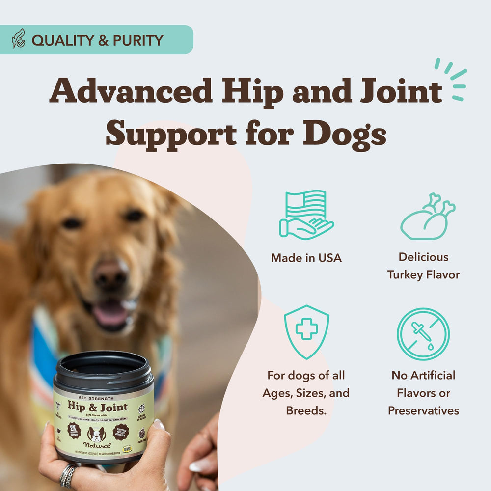 Natural Dog Company Vet Strength chews cartilage support close-up demonstrates joint resilience.