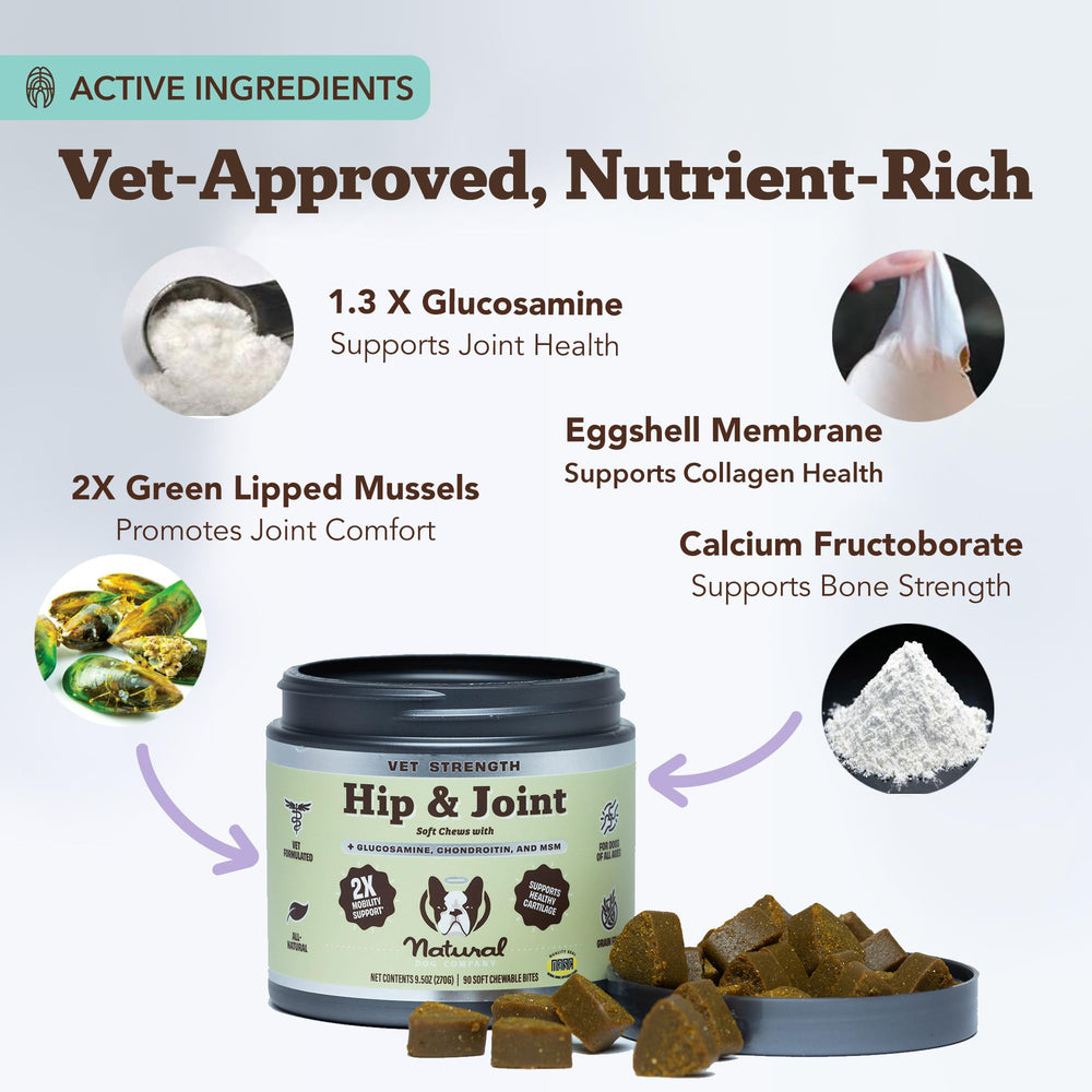 Natural Dog Company Vet Strength chews shown with a senior dog on the move.