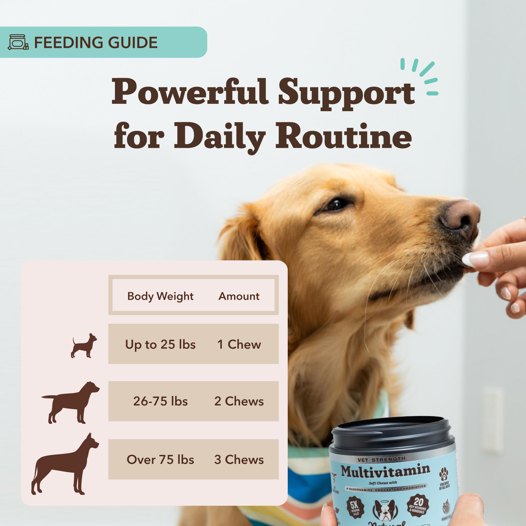 Natural Dog Company Vet Strength omega-rich salmon oil visual for healthy skin and coat