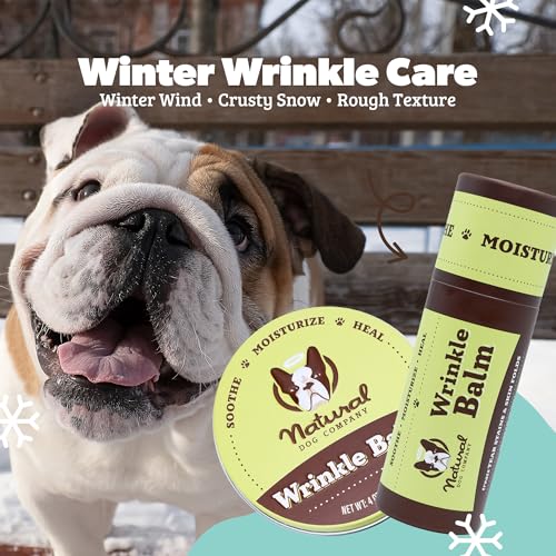 Natural Dog Company ingredient shea butter closeup highlights hydration for dog skin.