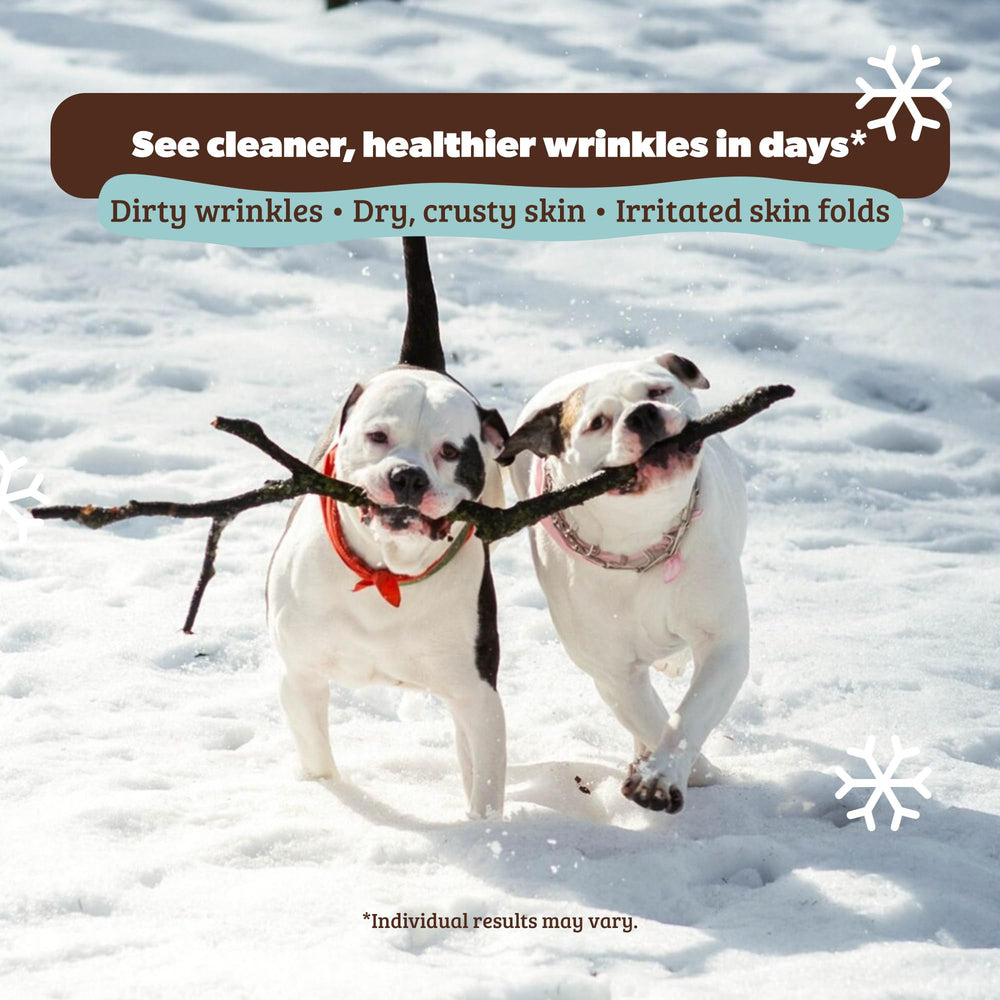 Natural Dog Company wrinkle balm-ingredients-shea-candelilla-jojoba-hempseed showing nutrient-rich blend
