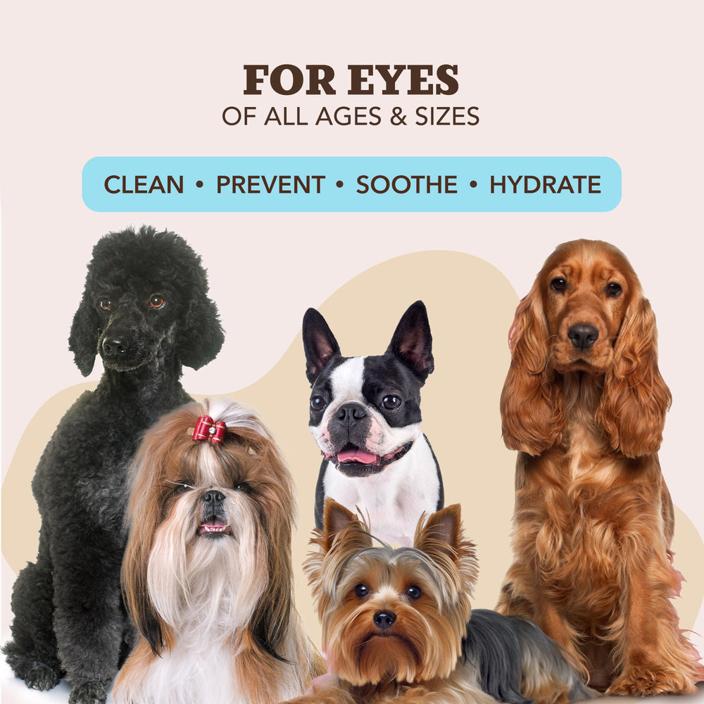 Natural Dog Eye Wipes easy-pull wipes ideal for one-handed use