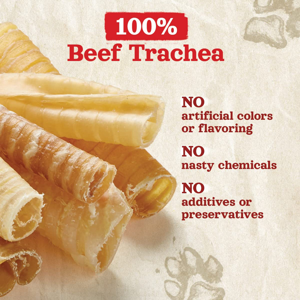 Natural Farm Beef Trachea dog chewing action — engaging natural reward moments.