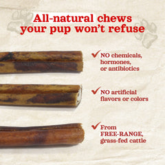 Natural Farm collagen stick action shot — long-lasting enrichment during play sessions
