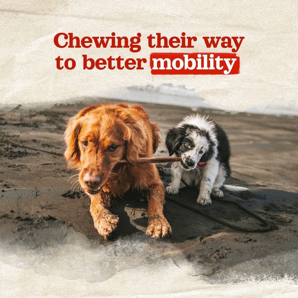 Natural Farm Collagen Sticks odor-free packaging, low-odor dog chew option