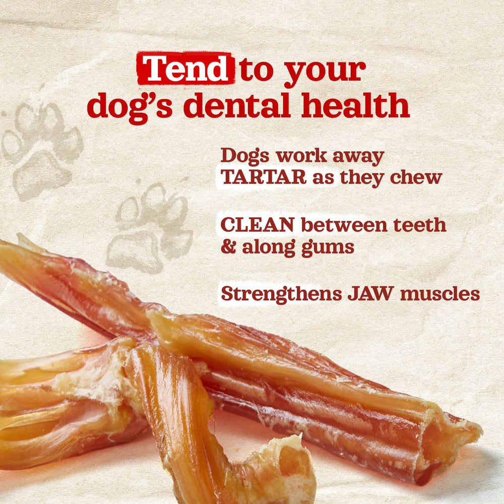 Natural Farm dog chewing action demonstrates satisfying long chew supporting dental health.