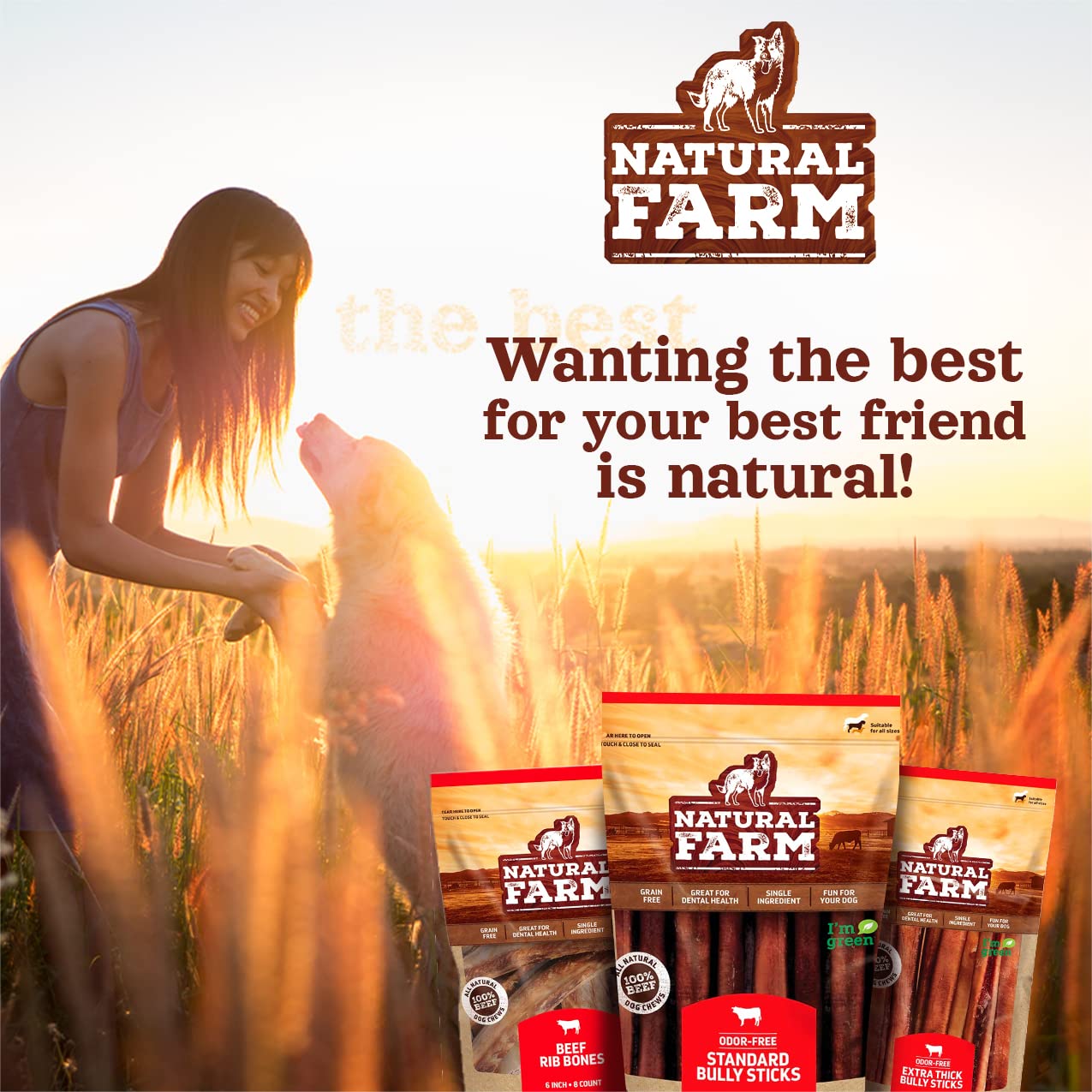 Natural Farm dog enjoying chew in real-life usage scene