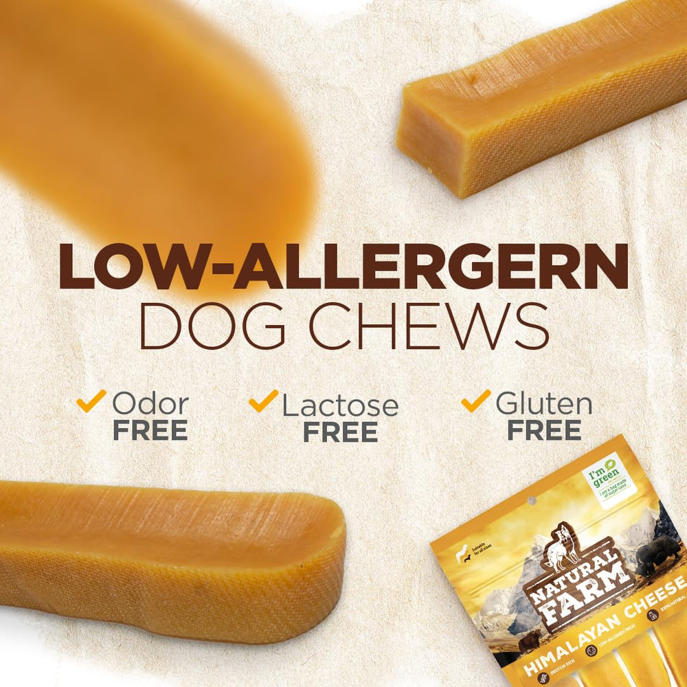 Natural Farm Himalayan Yak Chews dog-at-play image suggests active, happy pets after chewing.