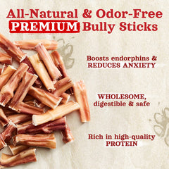 Natural Farm odor-free bully stick dog-chewing demonstrates calm focus during playtime