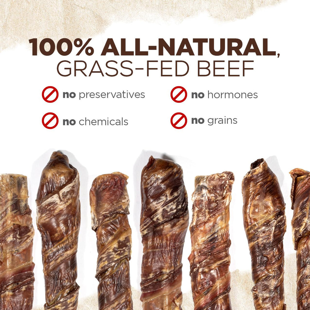 Natural Farm Power Beef Sticks dog-chewing scene demonstrates enrichment and extended focus during play.