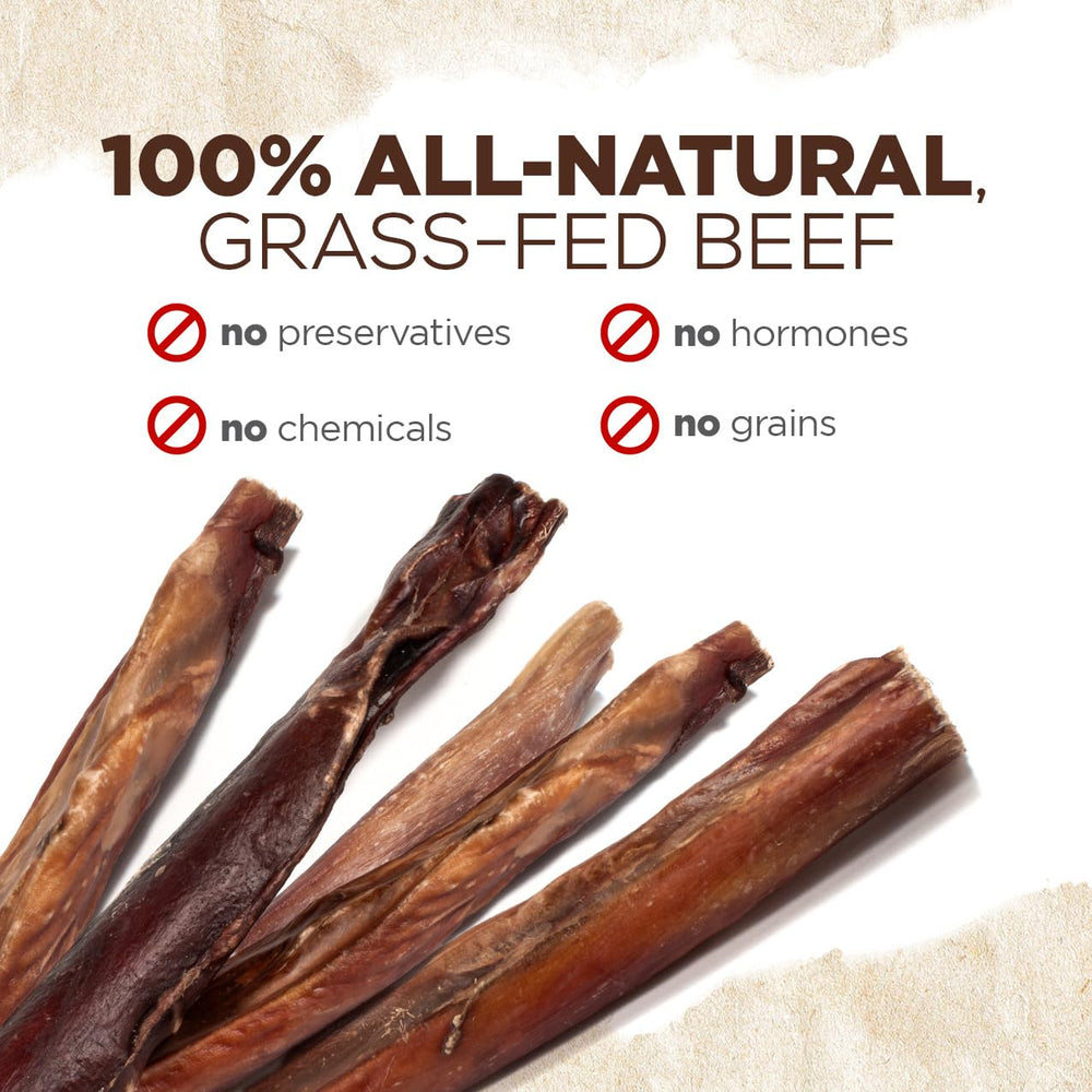 Natural Farm Power Bully Sticks dental health concept with two-texture chew