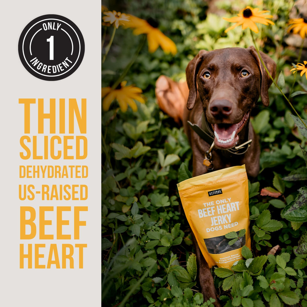 Natural Rapport 100-percent meat beef heart highlights pure, additive-free treats.