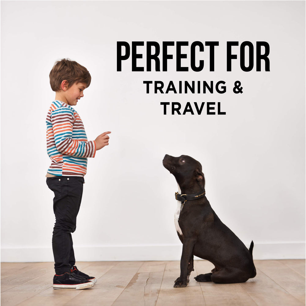 Natural Rapport Beef Tendon Treats for large dogs, durable and long-lasting.