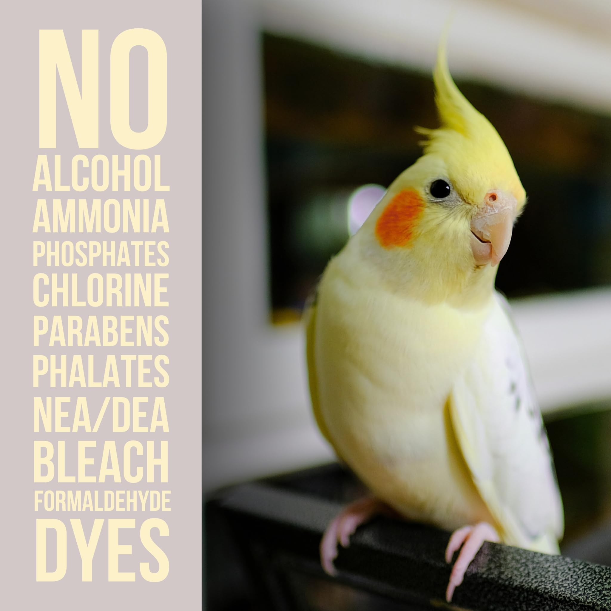 Natural Rapport Bird Cage Cleaner breaks down dried poop with enzyme action
