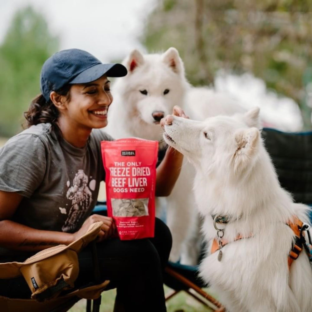 Natural Rapport bolsa de 4 onzas para perros de todos tamaños.