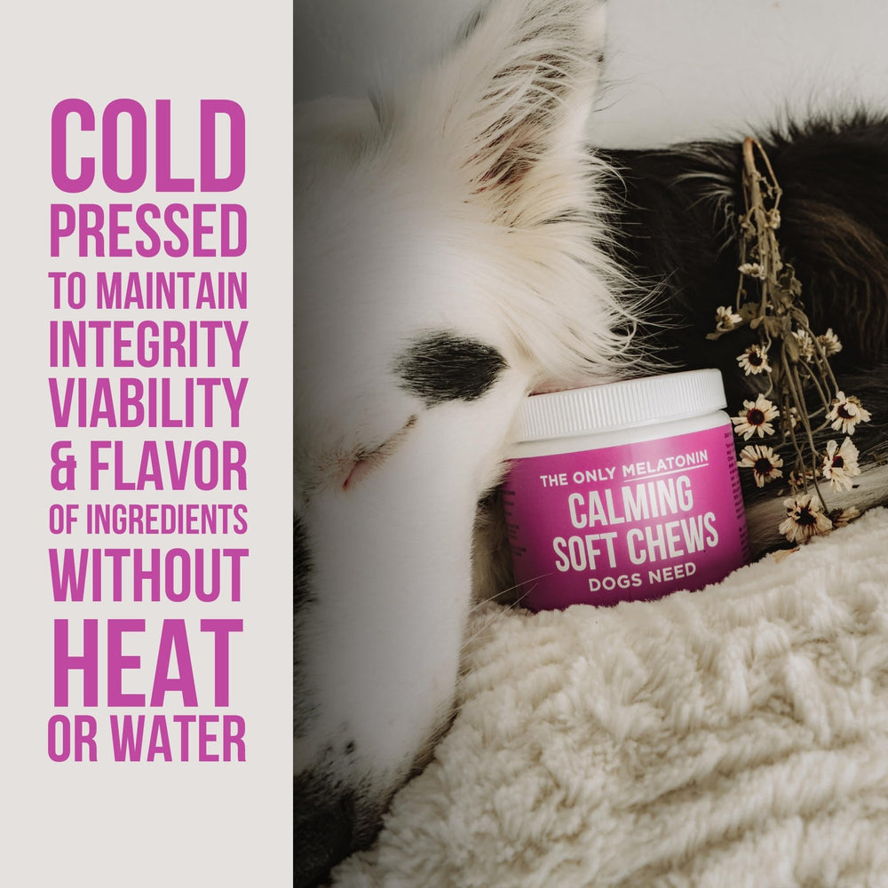 Natural Rapport melatonin chews close-up highlights melatonin and botanicals.